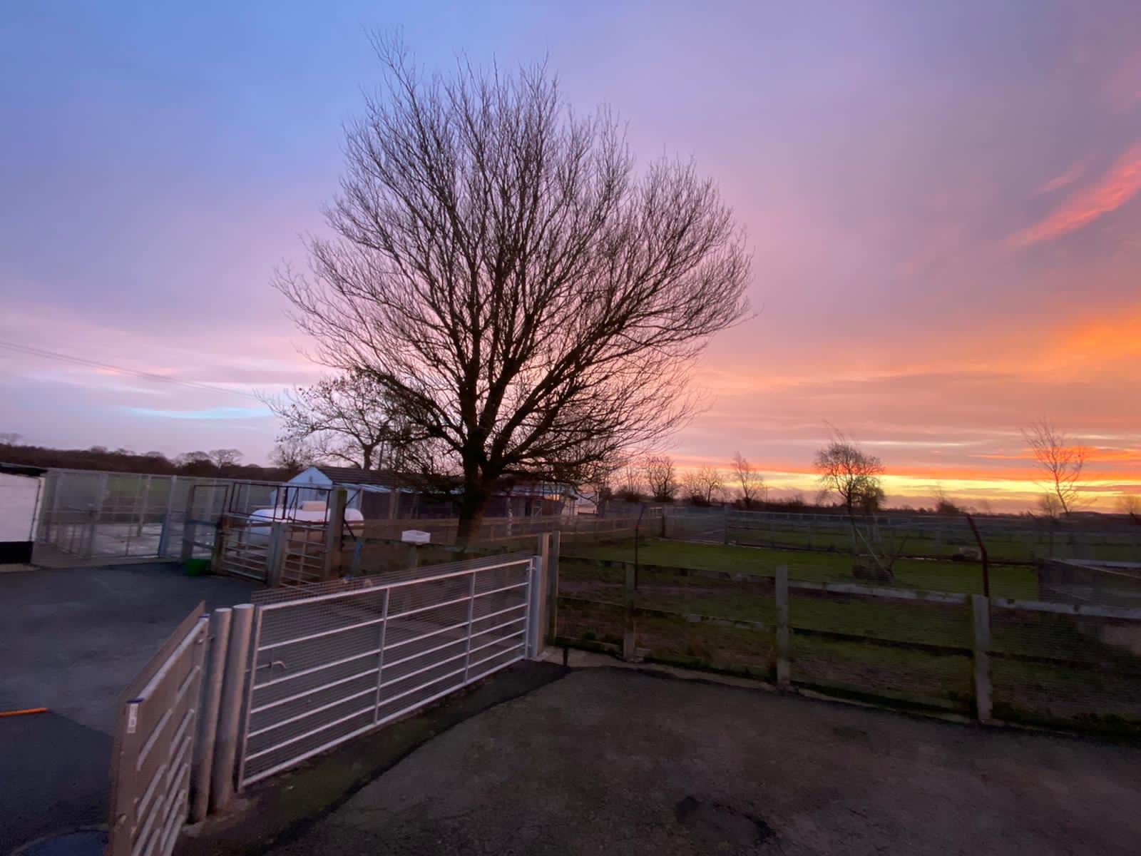 Slaney store lodge kennels